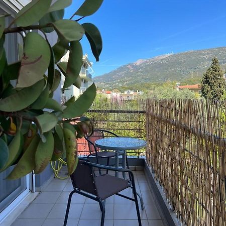 Vasiliki Apartments Návpaktosz Kültér fotó